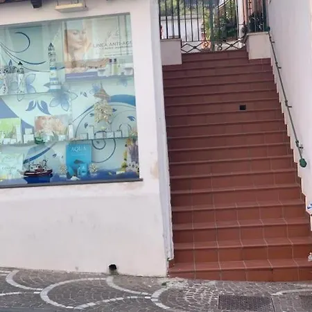 Apartamento Pithecusa House, Porto, Centralissimo