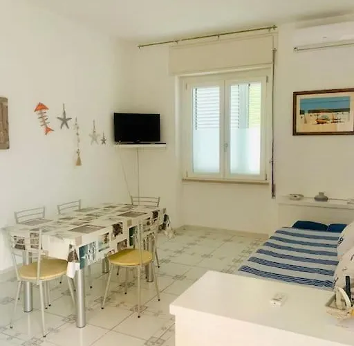 Pithecusa House, Porto, Centralissimo Appartement