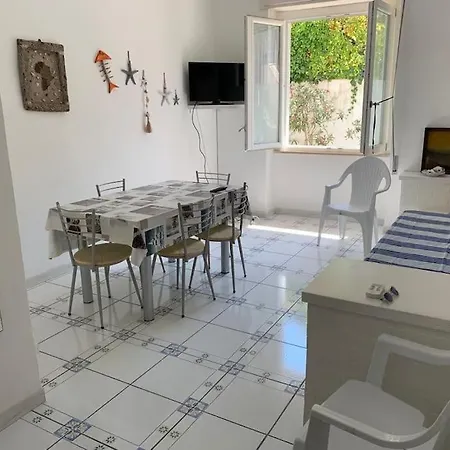 Pithecusa House, Porto, Centralissimo